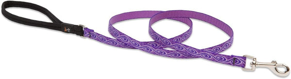 LupinePet Originals 1/2" Jelly Roll Padded Handle Leash, 4-Foot for Small Pets