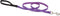 LupinePet Originals 1/2" Jelly Roll Padded Handle Leash, 4-Foot for Small Pets