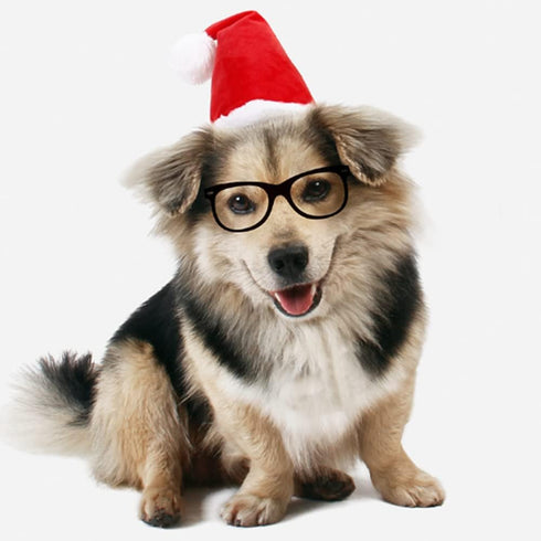 ANIAC Adjustable 3D Christmas Dog Hat for Small Dogs, Cat Santa Hat Costume