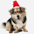 ANIAC Adjustable 3D Christmas Dog Hat for Small Dogs, Cat Santa Hat Costume
