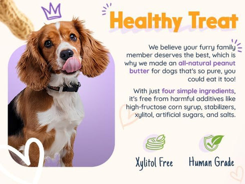 (Set 2, 17oz Superberry Snoot + Ruff Ruff Raw Buddy Budder, Natural Dog Peanut Butter, Dog Treat, Made in USA of Jars)
