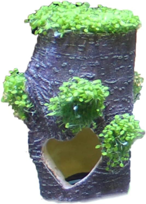 Penn-Plax Aqua-Flora Aquarium Living Resin Decoration with Embedded Glosso Plant Seeds – Tree Base – Safe and Healthy for Freshwater Fish