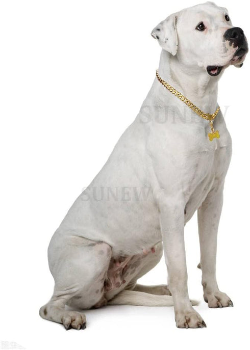 Walking Collar with Dog Tag Design, Secure Buckle Cuban Link Chain Heavy Duty Chew Proof for Medium Large Dogs