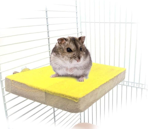 Litewoo Bird Perch Grinding Stand for Bird - 3.5" x 5.1" for Parrot Budgie Cockatiel