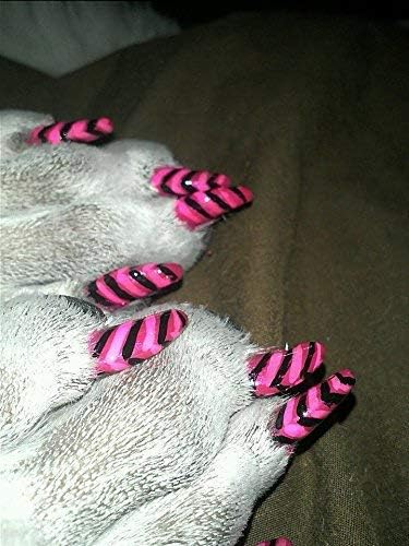 Warren London Pawdicure Dog Nail Polish Pens - Made in USA, Quick Dry, Neon Pink, 13 Colors