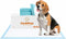 UltraCare Superabsorbent Leak Proof Odor Free Pet Friendly Puppy Pads, Best Potty-Training