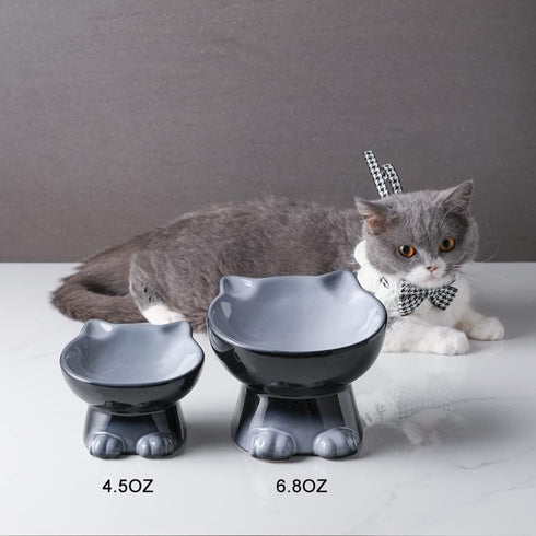 Nihow Elevated Cat/Dog Bowls: 6.25 Inch Ceramic Raised Food & Water Bowl Set for Small Dogs and Cats - Elegant Gray