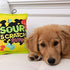 Huxley & Kent Sour Scratch Dog Toy (Large), Power Plush with Squeaker, Funny Cute Dog Toy