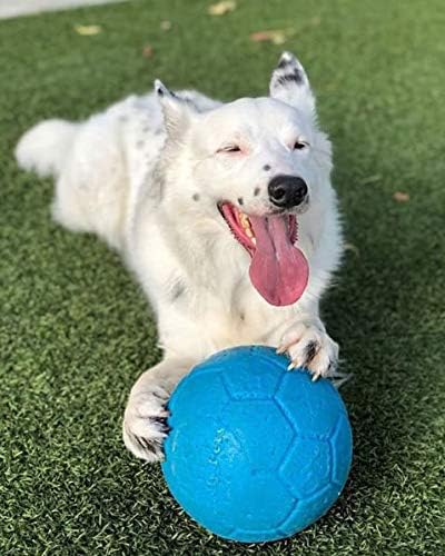 Jolly Pets Large Soccer Ball - Floating-Bouncing Dog Toy, 8 Inch Diameter, Ocean Blue