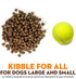 Supreme Source Grain Free Dry Dog Food, Turkey Meal & Sweet Potato Recipe, 5 Pound Bag