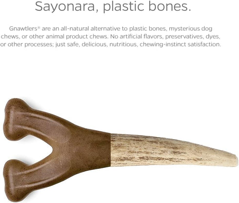 Pet Parents Gnawtlers, Premium Naturally Shed Elk Antlers for Dogs, All Natural Dog Chew, Large