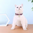 PetsHome Cat Collar, Dog Collar, Bling Rhinestones PU Leather Adjustable Pet Collar for Big Cat and Small Dog