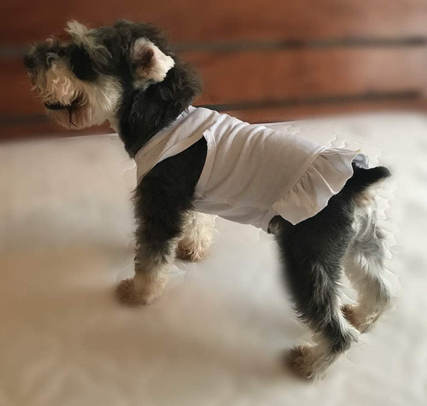 Pet Clothes Small Dog Clothing Blank Color Sport Dress T-Shirts Tee Dresses Tanks Top for Small Size Female Dogs Summer