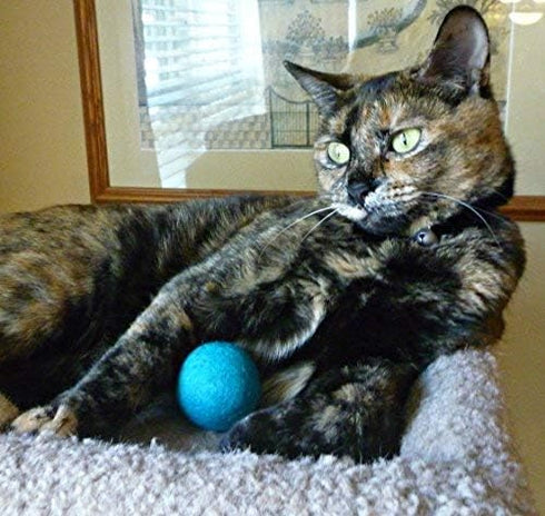 Wool Cat Toy, Felted Wool Rainbow Squid Fish Wand Toy Plus 2 Felt Ball Toys for Indoor Cats