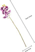 2pcs (22cm 29cm) Toyvian Artificial Reptile Plants Lifelike Simulated Plant Ornaments for Terrarium Decor Plastic Fake