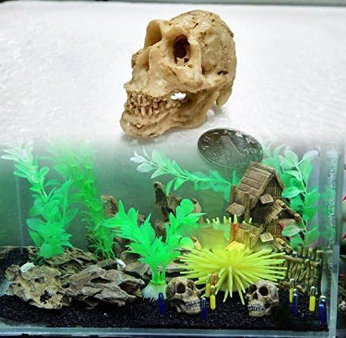 Driak 3Pcs Fish Tank Decorative Aquarium Decorations - Head Bone Skull Resin Ornament for Reptile or Fish