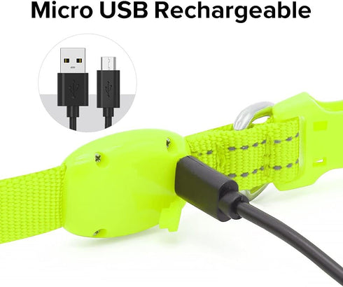 BSEEN Adjustable LED Dog & Cat Collar - Green, Rechargeable, Small Breeds, 8.5-11.8 inches, Lightweight, Reflective, 2