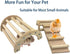 3in1 Chicken Perch Roosting Bar Jungle Gym Wooden Arch Bridge Platform Stand Ladder Climbing Ramp Toys for Chick