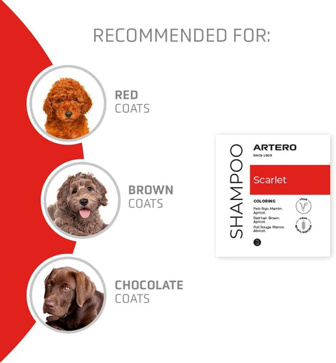 Artero Scarlet. Natural Colour Enhancing Shampoo for Dogs with Red, Brown and Chocolate Coats Long-Lasting Shine, Deep