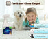EXTREME ENZYME Stain & Odor Eliminator with Urine Remover, 2X Bio-Enzymatic Cleaners, Safe for Pets
