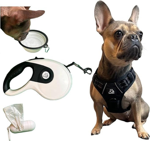 Funny Fur Grace Dog Walking Set - Black & White: Adjustable Escape-Proof Harness, 16ft Leash, Pup Bags, Bowl - Medium