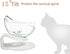 Luck Dawn Cat Elevated Bowl with Raised Stand, 15 Degree Tilted Design Neck Guard Stand for Cats or Small Dogs