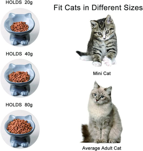 Nihow Elevated Cat/Dog Bowls: 5 Inch Ceramic Raised Food & Water Bowl Set, Elegant Gray for Protecting Pet's Spine (4.5