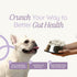 Benji & Louie 2.5 oz, 12 Count Air Dried Rabbit Feet - Whole Rabbit Front Feet with Fur - Natural Healthy Dog Treats