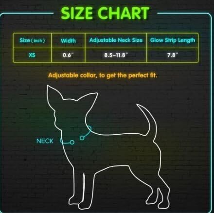 Candofly Light Up Dog Collar, USB Rechargeable Glowing Puppy Collar for Night Walking, X-Small, Blue