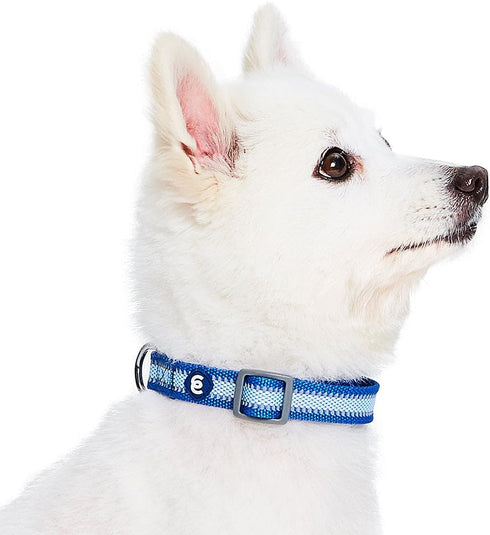 Blueberry Pet Essentials Pack of 2 Reflective Adjustable Dog Collars, Navy Blue, Small, Neck 12"-16"