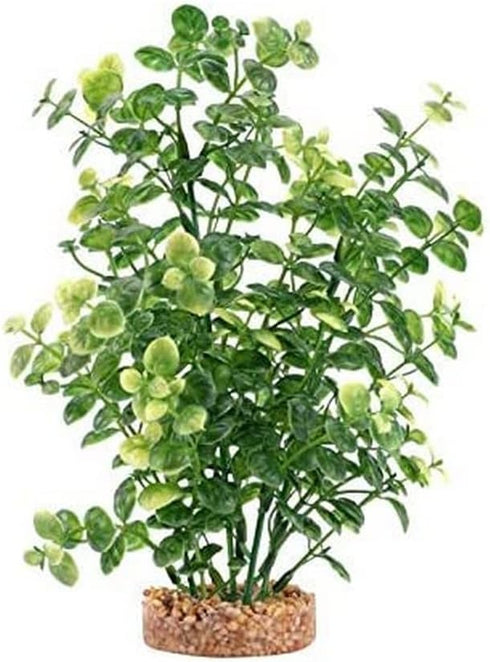 Fluval Aqualife Green Bacopa Plant, Plastic Aquarium Plant Decoration 8 in by Fluval