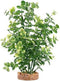 Fluval Aqualife Green Bacopa Plant, Plastic Aquarium Plant Decoration 8 in by Fluval