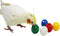 QBLEEV 5 Pack Colorful Bird Bell Balls - Chewing Playing Training Toy for Parrot, Cockatiel, Budgie, Random Color