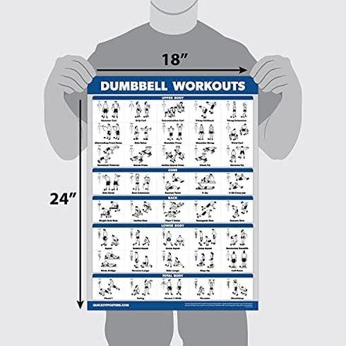 Palace Learning 3 Pack - Dumbbell Workouts + Barbell Exercises + Cable Machine Workouts - Set of 3 Workout Charts (LAMINATED, 18” x 24”) by Palace Learning