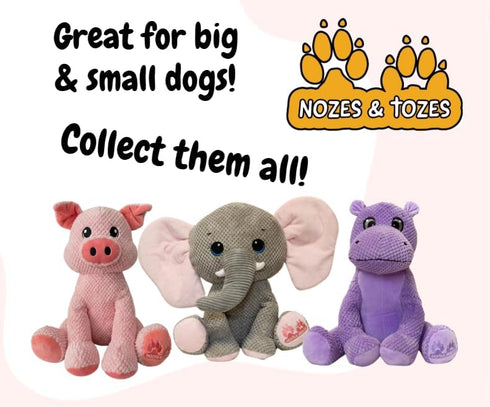 NOZES & TOZES Plush Pig Dog Toy | Dog stuffies for Large Dogs Dog Enrichment Toys for Large Dogs | Dog Toys Without