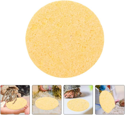 10 Pack Hemoton Natural Hermit Crab Sponge Compact Round Sea Sponges for Tank Humidity and Water Dish Suitable for Pet