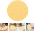 10 Pack Hemoton Natural Hermit Crab Sponge Compact Round Sea Sponges for Tank Humidity and Water Dish Suitable for Pet