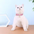PetsHome Adjustable Cat Dog Collar, Bling Rhinestones PU Leather with Luxury Pendant for Extra Small Dog and Cat, Pink