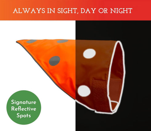 SPOT THE DOG! Reflective Dog Bandanas - High Visibility Safety Dog Accessories for Small, Large Dogs, Orange Collar