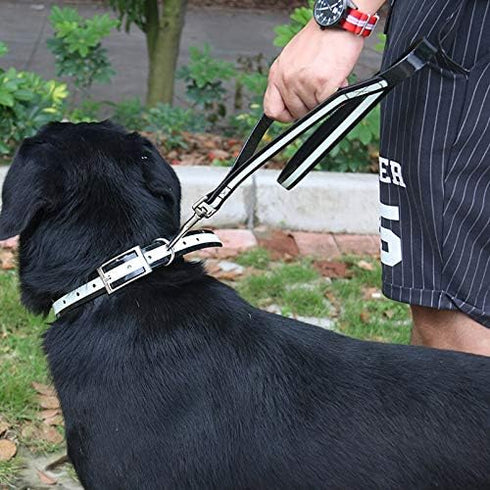 Regal Dog Products Reflective Leash – 5 ft. Lightweight Dog Leash for Small, Medium, Large, or XL Dogs (Red)