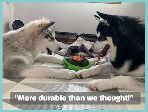 Sniffiz SmellyUFO Durable Interactive Treat Dispensing Puzzle/Enrichment Toy for Dogs - Mind Stimulating Food Game/Slow