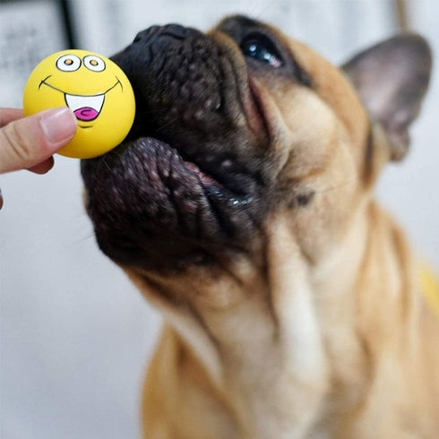 Latex Dog Chewing Squeaky Ball Toys, 6PCS/Set for Puppy Small Medium Pets