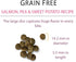 Chicken Soup for the Soul Pet Food, Grain-Free Dry All Stages Dog Food, Salmon, Pea & Sweet Potato Recipe, 4 Pound Bag