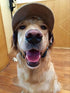 Pet Dog Baseball Cap Sport Hat - Outdoor Sun Protection Summer Cap for Small Medium Large Dog (Medium, Brown)