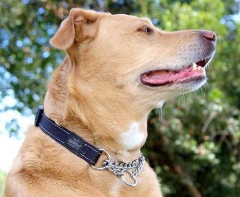 Reflective Nylon Choke Collar, Black, Slip Show Obedience Training Gentle Choker for Extra Large Dogs