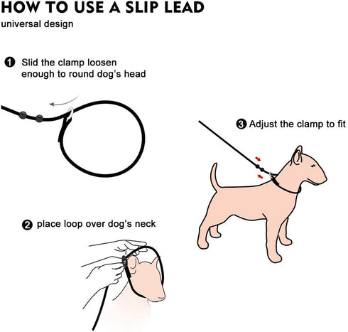 Dog Ultra-fine Leash, Slip Leads for Dogs, Training Leash for Small, Medium or Large Dogs, Seagreen, 1.4M Long