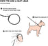 Dog Ultra-fine Leash, Slip Leads for Dogs, Training Leash for Small, Medium or Large Dogs, Seagreen, 1.4M Long