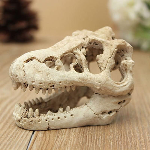 Opexicos 2Pcs Resin Dinosaur Skull Aquarium Decoration - 8.5 x 5.5 x 4.5 cm Terrarium Reptile Ornament