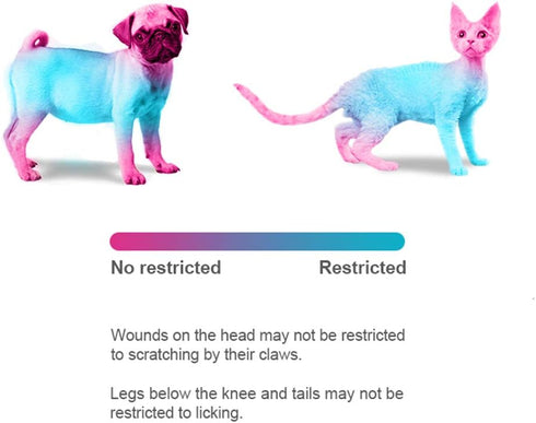 Adjustable Recovery Collar, Protective Pet Cone for Wound Healing, Soft Edge for Cats, Kittens & Small Dogs