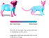 Adjustable Recovery Collar, Protective Pet Cone for Wound Healing, Soft Edge for Cats, Kittens & Small Dogs